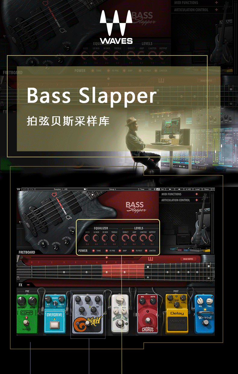 Bass Slapper 拍弦贝斯音源(图1)