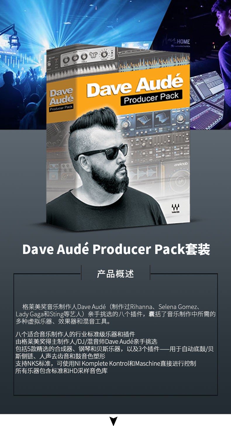 Dave Audé Producer Pack 格莱美奖音乐制作人插件套装(图1)
