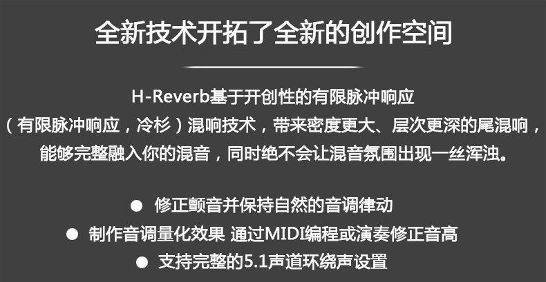  H-Reverb Hybrid 混响效果器(图2)