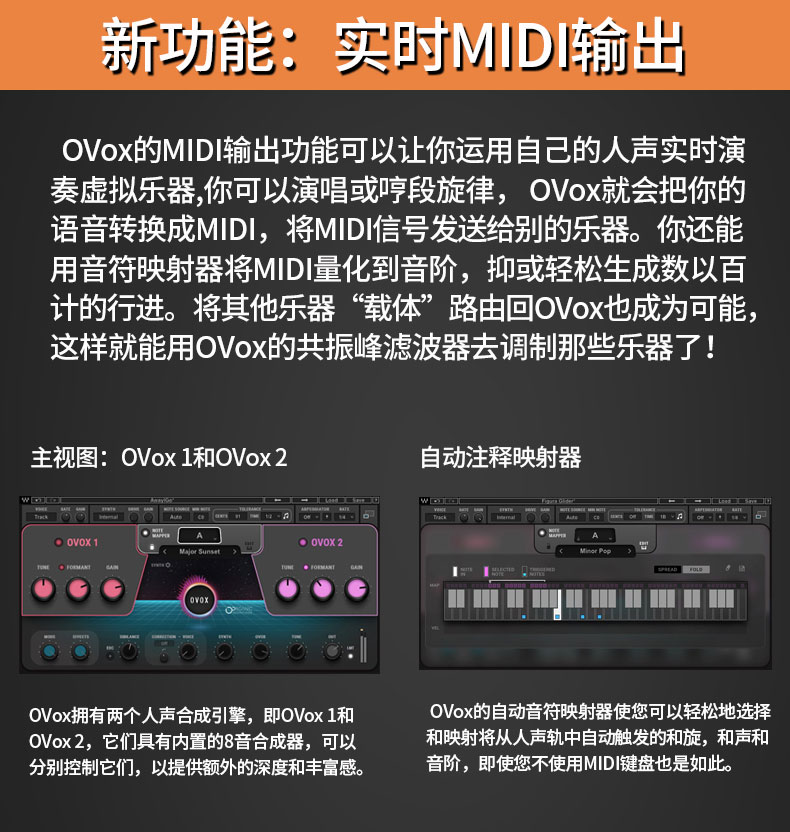 OVox Vocal ReSynthesis 声码器效果器人声电音效果插件(图4)